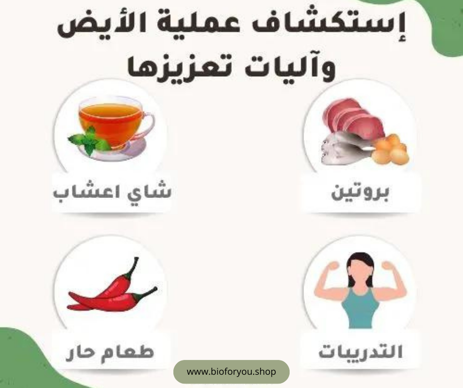 إستكشاف عملية الأيض وآليات تعزيزها